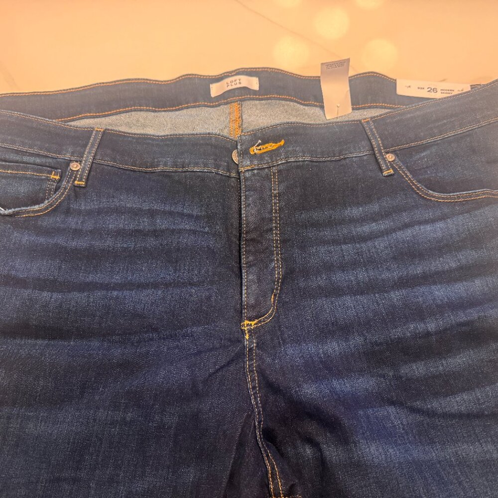 NWT LOFT Plus Modern Slim Pocket Skinny Jeans in Mid Indigo Wash Plus Size 26